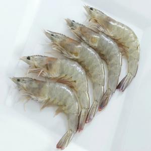  Shrimps - crustacean shell my company  interested in buying shrimps  ( maybe and another seafood )  from vietnam  and exported this shrimps to the europe ( to the poland) 