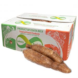  Cherche Distributeur En Europe Pour Manioc Frais - féculents cherche distributeur en europe pour manioc frais--livraison possible - ex-works,  fob,  cfr,  cif,  ddp----ci-dessous les fruits et légumes exotiques que nous pouvons vous fournir.----01. manioc --02. banane plantain --03. igname --04. piment--05. gombo--06. aubergines (rondes-blanches,  jacato)--