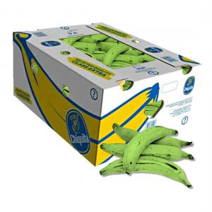  Cherche Distributeur Pour Notre Banane Plantain - fruits et légumes producteur,  cherche distributeur en europe pour notre banane plantain--livraison possible - ex-works,  fob,  cfr,  cif,  ddp----ci-dessous les fruits et l&eacute;gumes exotiques que nous pouvons vous fournir.----01. banane plantain --02. igname--03. manioc --04. piment--05. gombo--06. aubergines (rondes