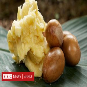  Je Cherche Des Clients Pour L'agros-cosmétique - matiere vegetale je suis un fournisseur de beurre de karité et de beurre de cacao quelque soit votre commande en (kg) ou en tonnes pour les entreprises qui exercent dans l'agros-cosmétique   