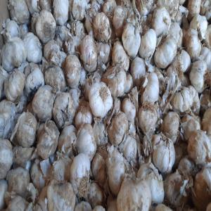  Ail Blanc De Haute Qualité - fruits et légumes l'ail blanc se caractérise par la couleur blanche de ses dents,  ainsi que par sa saveur très douce.--nous offrons de l'ail blanc de haute qualité aux grossistes,  fournisseurs et détaillants qui recherchent des produits fiables et de qualité.--origine - espagne--cal