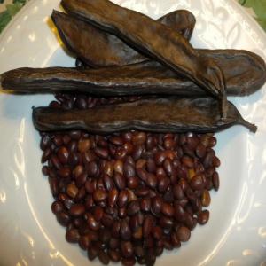  Carob Caroube - other                              hello --we have quantity  of   carob    we are looking for customers  ,   best quality products  and quantity  ,  contact us  .--                           