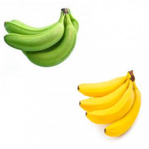  Cherche Distributeur De Banane Verte Et Jaune - fruits et légumes producteur cherche distributeur de banane verte et jaune--livraison possible - ex-works,  fob,  cfr,  cif,  ddp----ci-dessous les fruits et l&eacute;gumes exotiques que nous pouvons vous fournir.----01. banane fruits verte et jaune--02. mangue--03. ananas--04. noix de coco--05. avocats hass et tropical-