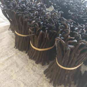  Supplier Of Grade Vanilla Beans From Madagascar - aromatic spices we are vanilla beans supplier from madagascar can ship to all country best quality vanilla with the details below specification item name vanilla beans length 14cm 20cm moisture 30% 35% vanillin 1.6% 2 4% application ice cream pastry extraction cake recipe scientific name vanilla planifo