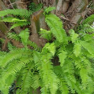  Des Déchets - autres f&ucirc;ts hmw mis en balles/regroy&eacute;s--   ldpe en balles--   lldpe en balles--   balayage au sol--   hors classe--   grande sp&eacute;cification--   ferraille--   polypropyl&egrave;ne--   bloc d'alimentation--   bouteilles en pet,  flocons et pellets--   blocs moteur--   transmissions--   batt