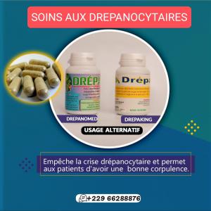  Recherche De Partenaire Financier - autres nous sommes à la recherche de partenaires financiers pouvant investir dans la production de masse et distribution à l'international de ce produit  dénommé drépanomed ,  conçu à base des plantes naturelles qui soignent la drépanocytose