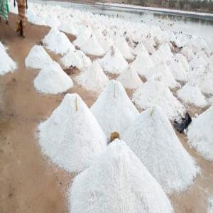  Producteur De Sel Marin Et Lacustre. - chimie additif engrais nous sommes une entreprise de droit sénégalais basé à dakar précisément au lac rose. notre spécialité est la production et la vente de sel marin destiné à la consommation humaine et animale.--pour plus de renseignements contacter 