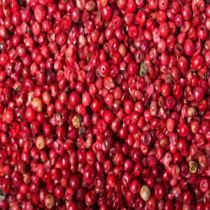 Exportateur De Produit Locaux - épices aromates bonsoir a tout nous sommes a la recherche des clients pour nos produit locaux tel que le poivre noir lourde poivre rouge (bai rose) poivre blanc poivre sauvage gingembre girofle vanille cacao curcuma lamelle cannelle en tuyau black eyesetc donc si vous voulez plus de detaille de
