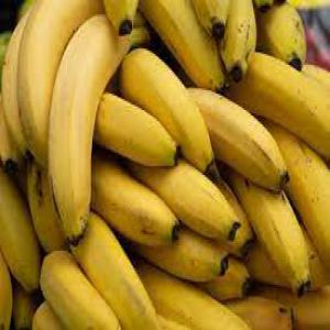  Cherche Investisseur Milliards Import Bananes - Investissement capitaux nous sommes une grande entreprise privé à la recherche d'investisseurs sérieux et ambitieux avec jusqu'a 35% en actions (équivalent de 7 milliards de centimes) dans l importation des bananes. sachez qu'il n'y aura aucun obstacle,  que ce soit au niveau des services des dou