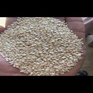  Sésame De Très Bonne Qualité - fruits secs et graines grillées nous sommes une société agroalimentaire basé à douala au cameroun nous disposons d'un important stock de sésame de très bonnes qualités. nous sommes prets pour une franche collaboration--cordialement 