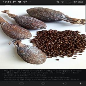  Piment De Guinee Et Petit Cola - épices aromates nous cherchons un acheteur pour le piment de guinee en graine. nous avons actuellement un stock de 5000kg disponible.