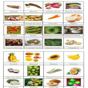  Partenaires Pour La Distribution En Europe - fruits et légumes societe d'exportation et de logistique depuis le cameroun cherche des partenaires financiers et de distribution--nous exportons des produits du cameroun vers l'europe et nous cherchons des distributeurs----ci-dessous les fruits et légumes exotiques que nous pouvons vous fournir.----01. chikwa