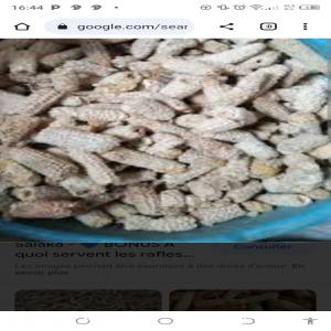  Livraison De Rafle De Maïs Période Octobre Décemb - champignon levure bonjour toute le communauté--je souhaite livrer les rafles de maïs en grande quantité en fin de l'année 2023.--de bon rafle de maïs de qualité non concassés pour la production de champignons et pour le sablage a l échelle industrielle.les rafles d'origine to