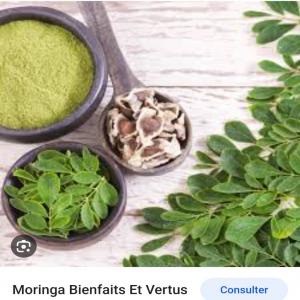  Feuille Moringa Moulu Et Ses Graines - fruits secs et graines grillées je vous livre partout--feuille moringa et feuille moulu--les graines de moringa--pour votre bien etre