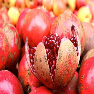  Grenadine Bio De Qualité Supérieure - fruits et légumes découvrez l'excellence - nos délicieuses grenadines bio,  cultivées avec soin pour une expérience gustative unique. rafraîchissantes et naturelles,  elles incarnent le goût authentique de la nature. rejoignez notre quete pour une vie saine et gourmande. essayez 