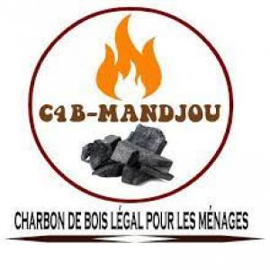  Charbon Legal Issu Des Rebuts De Scierie De L'est - bois charbon fibre la centrale de collecte et de commercialisation du charbon de bois situ&eacute;e au cameroun est un groupement d int&eacute;ret &eacute;conomique (gie) fonctionnant sur un mod&egrave;le coop&eacute;ratif. il regroupe les charbonniers de la r&eacute;gion de l est cameroun,  afin de leurs permettre de 