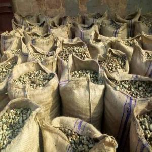  Offre De Vente Des Produits Tropicaux - matiere vegetale nous somme un fournisseur des produits tropicaux en provenance du b&eacute;nin. nous recherchons des clients et  partenaires fiable &agrave; qui livr&eacute; nos produits tropicaux tel que---- noix d'anacarde,  --- noix de karit&eacute;,  --- riz non &eacute;tuv&eacute;,  --- soja,  --- maïs.-- nous som