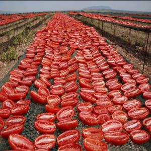  Tomates Séchées - fruits et légumes nous sommes fournisseur de tomates séchées tunisien nous offrons un grand stock pour l'export depuis la tunisie 