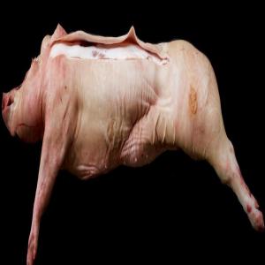  Moitiés De Porc Surgelées Sans La Tête - viandes et oeufs nous recherchons un fournisseur r&eacute;gulier de porc surgel&eacute; moiti&eacute;s sans tete &agrave; 75 tonnes par mois et plus veuillez proposer le prix pour exw et le lieu de collecte