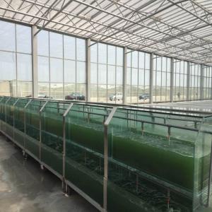  Producteur De Spiruline Chlorelle Bio - matiere vegetale nous sommes producteurs de spiruline chlorelle et phycocianine (spiruline bleue) certifi&eacute;es bio union europ&eacute;enne usda jas ainsi que brc et ifs pour la grande distribution. notre spiruline actuelle provient d'une souche s&eacute;lectionn&eacute;e de spirulina platensis d&eacute;vel