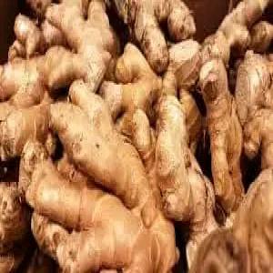  Exportation De Gingembre Tropicale:origine Togo - féculents bonjour a tous.--je suis a la recherche des partenaires, des clients pour la livraison ou exportation du gingembre pour cette nouvelle saison.--cordialement.