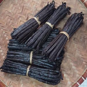  Fournisseur De Vanille Noir Gourmet Madagascar - épices aromates nous exportons de bourbon vanille de noir gourmet de madagascar avec des prix abordable et meuilleurs qualites aussi peuvent exporter selon votre destination dans le monde entier nous vanilles sont provenance de la region sava au nord est de madagascar. taux d'humidites 30% 35% vanillin 1.6% 2.