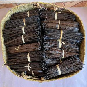  Supplier Of Grade Vanilla Beans From Madagascar - aromatic spices we are vanilla beans supplier from madagascar can ship to all country best quality vanilla with the details below specification item name vanilla beans length 14cm 20cm moisture 30% 35% vanillin 1.6% 2 4% application ice cream pastry extraction cake recipe scientific name vanilla planifo