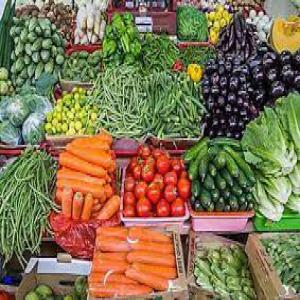  Recherche Des Clients - fruits et légumes nous somme une entreprise sp&eacute;cialis&eacute;e dans l'exportation de toutes sortes de fruits et l&eacute;gumes alg&eacute;riens de haute qualit&eacute; , nous recherchons des clients dans le monde entier,  pour plus d'information s'il vous plait contactez nous via email - 