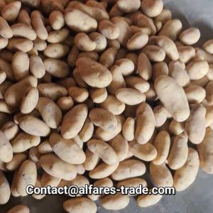  Spaghetti Spunta Potatoes For Sale - fruits et légumes egyptian exporting company looking for buyers/partners interested in importing produce and other food products from egypt.----egvptian spunta potato,  size 55-75,  large quantities available $394/ton exw (fob & cif also available options)--egyptian 100% wheat flour spaghetti,  200g or 300g packaging,  $