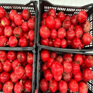  Grenades Jus - fruits et légumes  &agrave; tous les membres je mets en vente des grenades smith bio non certifi&eacute;es sans r&eacute;sidus de pesticides id&eacute;ales pour le jus. photos disponibles sur whatsapp. 0 99  /kg d&eacute;part espagne par camion complet.