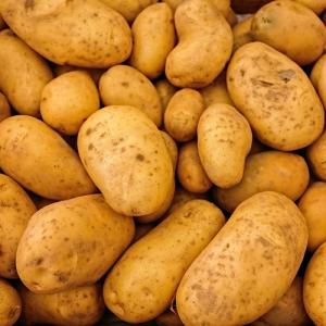  Pomme De Terre 2023 Agria Grenaille Jazzy - fruits et légumes disponibilité nouvelle récolte pommes de terre enlèvement sur l'île-de-france  ---- agria sac de 25 kg,  calibre 55 mm et + non lavée --- agia sac de 10 kg calibre 45 et +,  non lavée  --- grenaille agria 10 kg,  calibre 45 mm et -,  non lavée - --- jazzy 