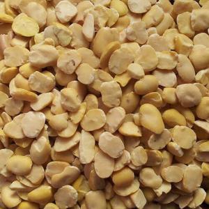  Fav Beans Broad Beans Fève - fruits and vegetables we are looking for suppliers in the eu for dried peeled broad beans for consumption not animal feed we would like to have a full quote including all  calibres that you offer (size) and quality. year of the crop. 40ft container 24/25 metric tons shipping to morocco tangier. thank you