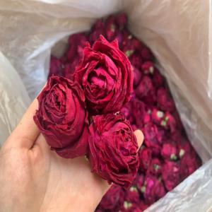  Producteurs Rose Grade Alimentaire - horticulture plante biocarburant nous disposons de plusieurs vari&eacute;t&eacute;s de rose double s&eacute;ch&eacute;es grades cosm&eacute;tique ou alimentaire conformes aux exigences europ&eacute;ennes pour application directe usage culinaire divers p&acirc;tisserie infusion extraction fleurs pr&eacute;sent&eacute;es ent