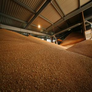  Maïs En Grain Disponibilité Immédiate - céréales maïs en grain disponibilit&eacute; imm&eacute;diate nous sommes heureux de vous pr&eacute;senter une opportunit&eacute; exceptionnelle d'approvisionnement de maïs en grain disponible imm&eacute;diatement en provenance de l'union europ&eacute;enne (eu) et de l'ukraine (ua) pour r&eacute;pondre 