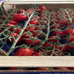  Tomate Datterino Provenance De La Sicile En Gros - fruits et légumes  chers professionnels  on est une soci&eacute;t&eacute; fran&ccedil;aise bas&eacute;e sur l'ile de france sp&eacute;cialis&eacute; dans la vente de produits directe producteur nos cherchons des clients pour nos tomates en provenance de nos agriculteurs italiens plus pr&eacute;cis&eacute;m