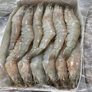  Poissons De Qualité Supérieure Prix Imbattables - poissons bonjour à tous les amateurs de poissons frais et délicieux, --nous sommes ravis de vous annoncer que notre poissonnerie,  vous propose une sélection exceptionnelle de poissons frais ou congelé et de fruits de mer de la plus haute qualité. nous sommes passionné