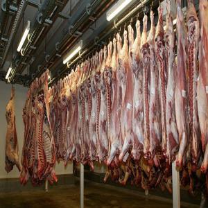  Importation Viande Fraiche Carcasse Et Sous Vide - viandes et oeufs  je cherche pour un client algerien importateur viande fraiche carcasse 6 conteneurs de 27 tonnes et sous vide 3 conteneurs de 27 tonnes je veux une facture proformat en cif port alger ou oran avec certificat d'origine du pays exportateurs du chambre de commerce du pays d'origine sach