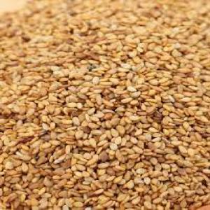  Je Cherches Un Client Pour Vendre De Sésame De - céréales bonjour ,  je cherche un client pour vendre de sésame et de gomme arabique ,  et de hibiscus,  grosses quantités et bonne qualité. si vous etes intéressé merci de me contacter .. cordialement   