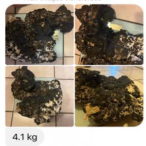  Vomis De Baleine - autres  &eacute;tant de polyn&eacute;sie fran&ccedil;aise nous venons de r&eacute;cup&eacute;rer de l’ambre de baleine trouv&eacute; sur la c&ocirc;te d’une de nos &icirc;les et souhaiterions l'expertis&eacute; et le vendre par la suite. nous avons 4 1kg (voir photo). merci pour votre pr&eacute;ci