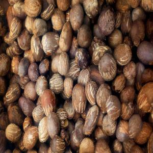  Noix De Karité Amande De Acajou - matières grasses bjr je suis une entrepreneur au burkina faso.  je recherche des clients et des partenaires pour l exploitation des noix de karit&eacute; et d amande d acajou d&eacute;j&agrave; trait&eacute;. merci