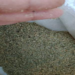  Source De Qualité De Gruau - céréales nous une société d'export nous disposons de gruau de  première qualité pour répondre aux besoins de votre choix une quantité importante,  ne cherchez plus ! nous vous proposons une gamme exceptionnelle de gruau qui séduiront les palais les plus fins,  q