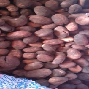  Noix De Karité En Stock - matiere vegetale nous disposons &agrave; plus de 1000 tonnes des noix de karit&eacute; au togo. nous cherchons un client s&eacute;rieux pour l'achat de nos produits. 