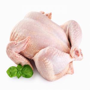  Oeuf - viandes et oeufs  nous somme une soci&eacute;t&eacute; de commerce international tunisienne conventionn&eacute; avec les grand producteur de volailles nous proposons dans le march&eacute; international une gamme des oeuf de premier qualit&eacute; 