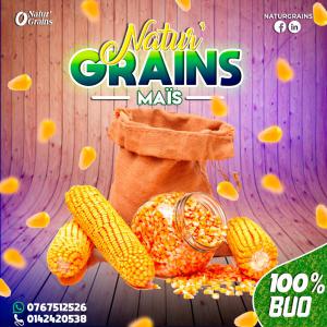  Maïs Jaune Bien Sec - céréales bonjour je suis producteur de maïs je réside en côte d'ivoire. je recherche un acheteur de maïs jaune bien sec. nouveau maïs taux d'humidité 12 à 14% et ancien maïs taux d'humidité 09 à 11% plus de 7000 tonnes disponibles.--n'hésitez pas à me co