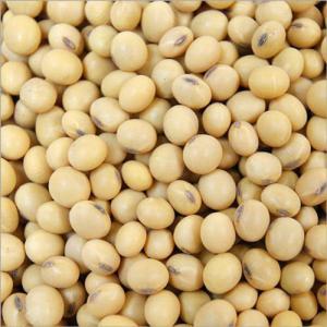  Soja Ogm Non Omg - céréales  nous sommes une soci&eacute;t&eacute; de commerce de gros inter entreprises sp&eacute;cialis&eacute;e dans la vente de produits agroalimentaires nous repr&eacute;sentons l un des plus grands producteurs br&eacute;siliens d agroalimentaire notre producteur exportateur poss&egrave;de le ga