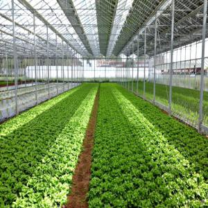  Recherche De Partenaires Financiers - fruits et légumes bonjour à tous --nous sommes à la recherche des partenaires financiers pour l'installstion d'une unité de production agricole en serre photovoltaïque hautement rentable pouvant obtenir les rendements d'un hectare de products marèchés sur une superficie de 500m² en 