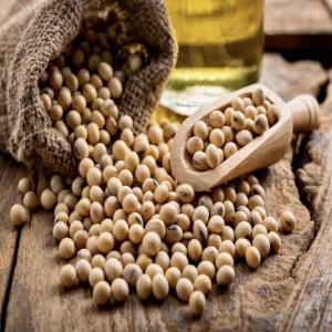  Recherche De Partenaires Commerciaux - fruits et légumes salut tout le monde ! j'ai une annonce incroyable &agrave; partager avec vous. notre association de jeunes entrepreneurs dispose de milliers de tonnes de soja de haute qualit&eacute; disponibles en octobre. nous recherchons des collaborateurs commerciaux motiv&eacute;s et des acheteurs s&eacute;rieu