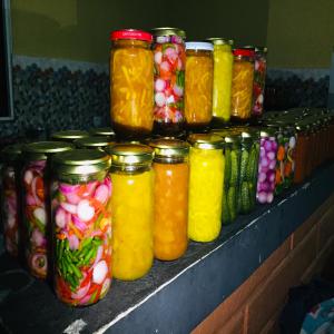  Epice Et Piment De Madagascar. - fruits et légumes les &eacute;pices de madagascar qui sont renomm&eacute; par leurs bienfaits comme le baie rose ou poivre rose,  le cannelle,  la vanille,  coriandre ,  curcuma,  gingembre,  paprika,  piment,  poivre,  safran, ...tous ces produits sont disponible en quantit&eacute; recherch&eacute; avec un prix abordable pour