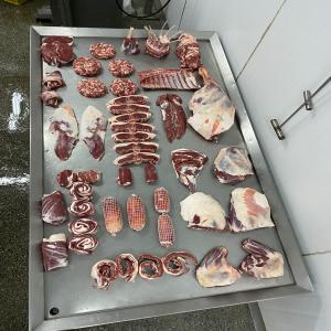  Viande De Bœuf Certifiée Halal - viandes et oeufs ----vous recherchez de la viande de b&oelig;uf de qualit&eacute;,  certifi&eacute;e halal,  directement du br&eacute;sil ? ne cherchez plus ! chez nous,  vous trouverez toutes les parties du b&oelig;uf,  soigneusement s&eacute;lectionn&eacute;es pour satisfaire vos besoins gastronomiques. voici quelques