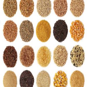  Produits Tropicaux - céréales nous sommes spécialisés dans les produits tropicaux. --nos produits sont non ogm.--nous avons du maïs du soja du karité des arachides des acajous etc...--contactez nous pour plus d'informations. nous souhaitons travailler sur du long terme.--cordialement 